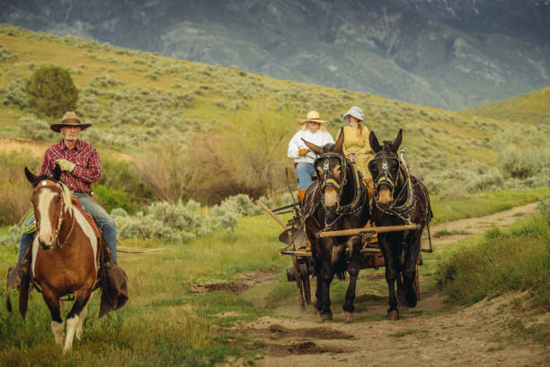 istock Utah ranchers on wagon and horse 979262474