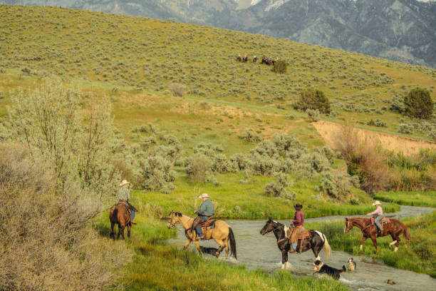 istock Utah ranchers riding across the river 979262784