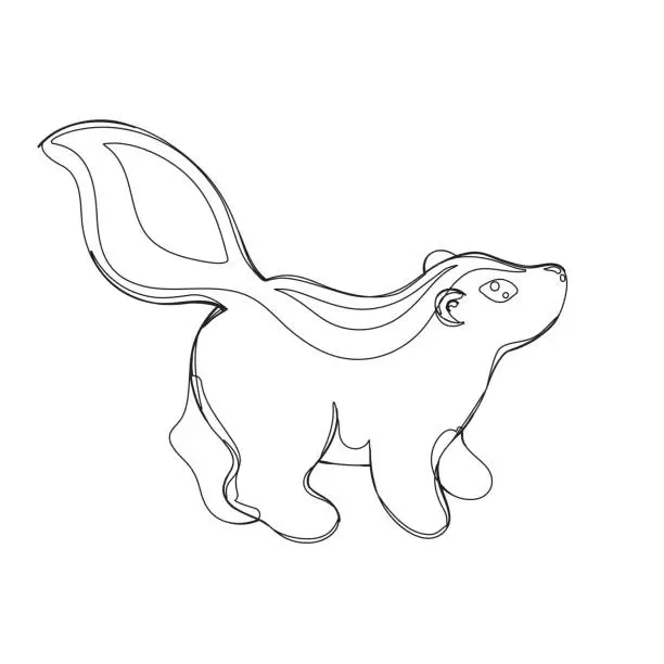 Vector illustration of skunk in continious line graphic style
