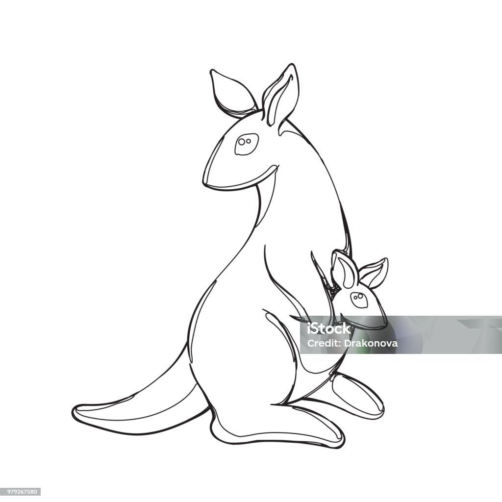 kangaroo in continious line graphic style Vector illustration of kangaroo in continious line graphic style, black countour outline sketch isolated on white Animal stock vector