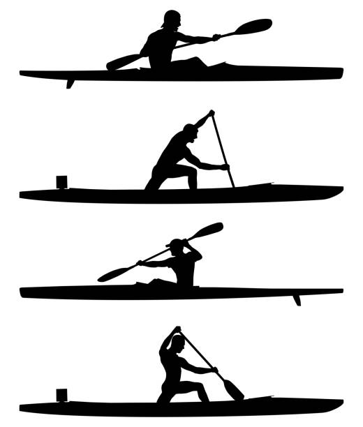 ilustrações de stock, clip art, desenhos animados e ícones de set rowers kayak and canoe - canoe canoeing paddling oar