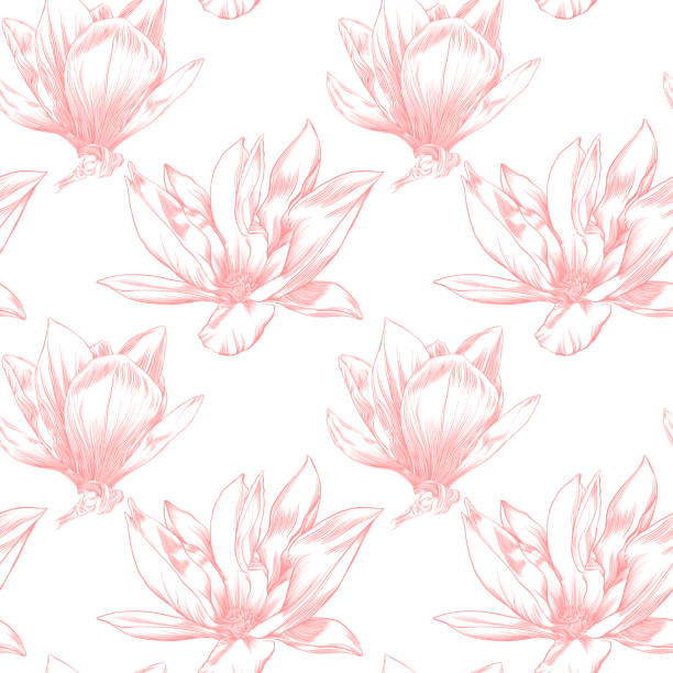 ilustraciones, imágenes clip art, dibujos animados e iconos de stock de plantilla de diseño de flor de magnolia en patrones sin fisuras en acuarela y tinta - plant white magnolia tulip tree