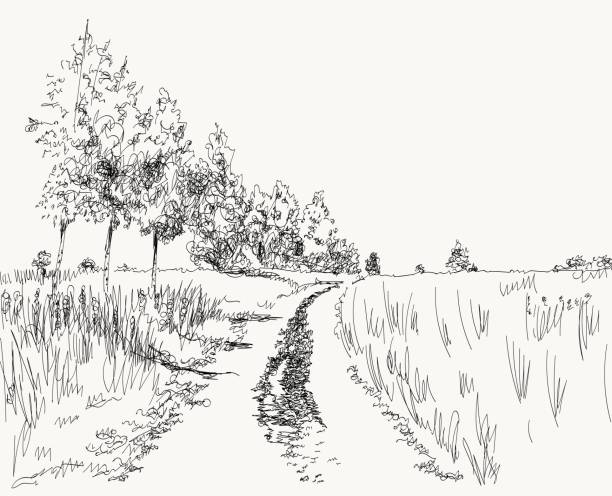 Drawing Rough Back Road How To Draw A Road Landscape