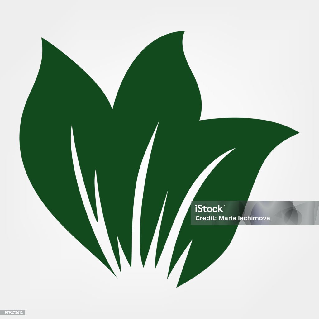 Levariya Vector Leaf Vector Stock Illustration - Download Image Now - Biology ...