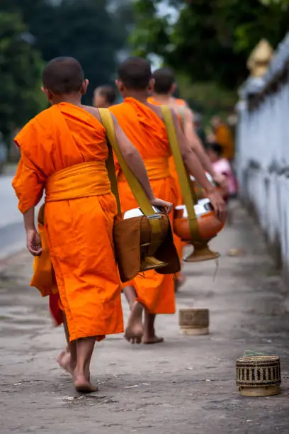 Buddhist novices walking through the streets of Luang Prabang. The Alms giving occurs daily in the town even as the sun rises, starting on the main street of Luang Prabang before spreading out to all the side street as the townsfolk makes offerings.