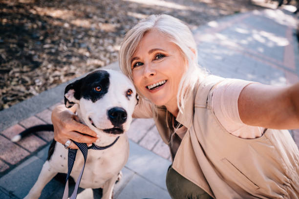 Smiling senior woman taking selfies with pet dog in park Happy mature woman video chatting on smartphone while walking with dog in park forest bathing photos stock pictures, royalty-free photos & images