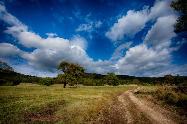 istock rocky road and wonderful sky 1 979287658