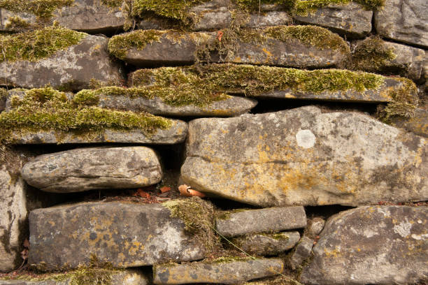 istock wall of stacked stones 2 979290934
