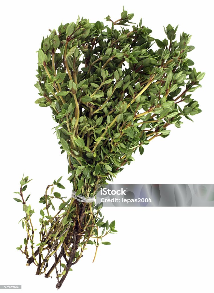 Thyme bunch  Bunch Stock Photo