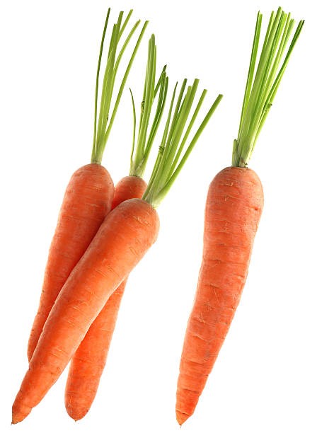 istock Whole fresh carrots & trimmed green tops isolated on white 97929695
