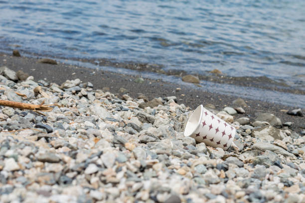 istock Used paper coffee mug dumped on the costal strip 979297832