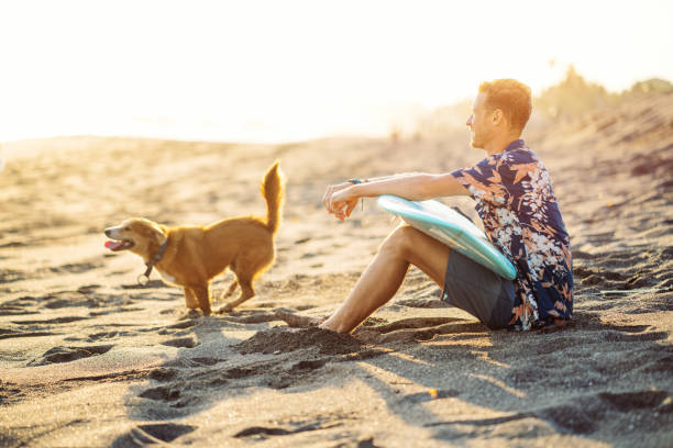 surfista havaiano camiseta brincando com cachorro - wave salt surf sea - fotografias e filmes do acervo