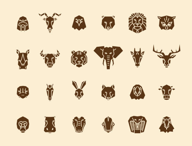 24 animal head icons. Unique vector geometric illustration collection representing some of the most famous wild life animals. 24 animal head icons. Unique vector geometric illustration collection representing some of the most famous wild life animals. vector eps10 bear face stock illustrations