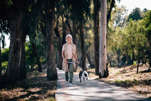 Photo of Smiling senior woman walking with pet dog in park