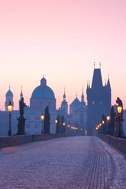 prague charles bridge  charles bridge stock pictures, royalty-free photos & images