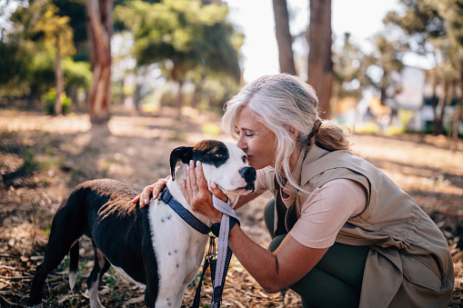 Happy active mature woman enjoying afternoon walk in park and kissing pet dog on leash