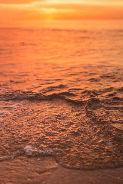 istock Golden Shoreline on Palm Beach, Florida 979322084