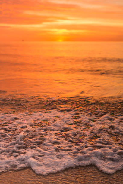 istock Golden Shoreline on Palm Beach, Florida 979322120