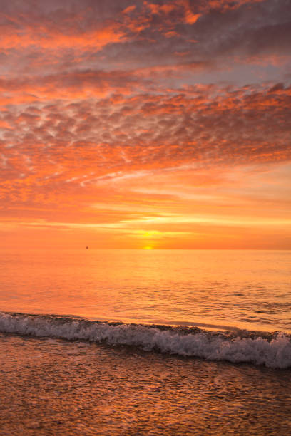 istock Golden Shoreline on Palm Beach, Florida 979324442