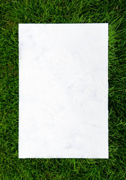 istock white loft concrete texture on green turf grass background. 979324464