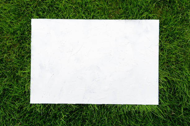 istock white loft concrete texture on green turf grass background. 979324484