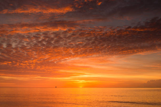 istock Golden Sunrise in Palm Beach, Florida 979327200