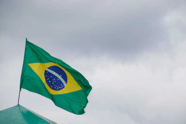 istock Flag of Brazil swayed by the wind 979329320