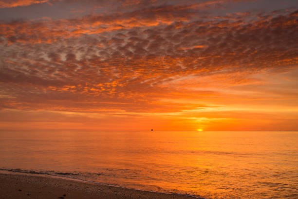 istock Sahara Dust Sunrise in Palm Beach, Florida 979329510