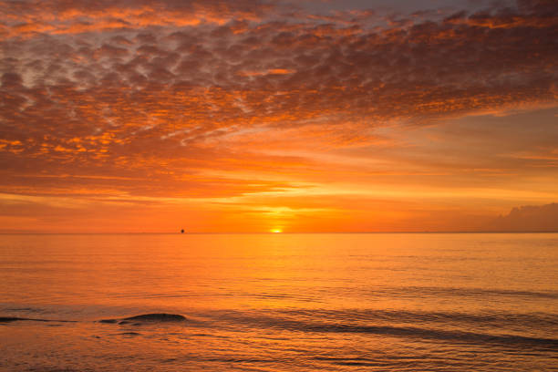 istock Golden Sunrise in Palm Beach, Florida 979329840