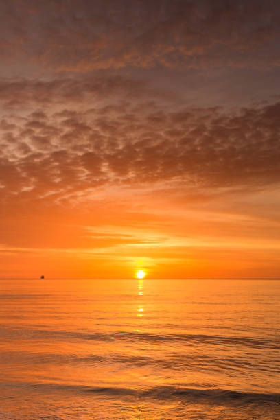 istock Golden Sunrise on Palm Beach, Florida 979331164