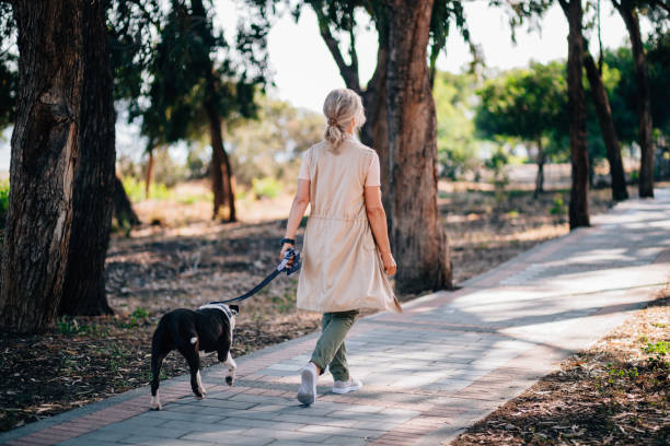 istock Active senior woman walking with pet dog in forest park 979343012