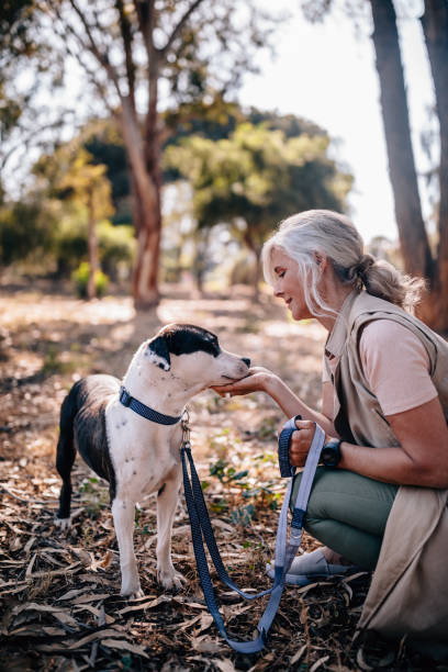 Fashionable mature woman relaxing in nature with pet dog Happy senior woman relaxing with morning walk and petting dog in the woods forest bathing photos stock pictures, royalty-free photos & images