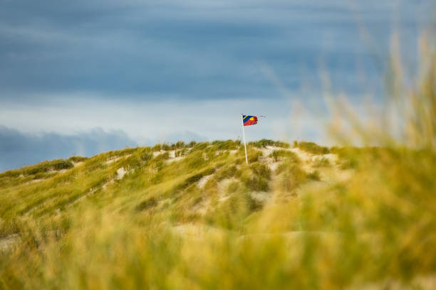 istock Dunes on the North Sea island Amrum, Germany 979361194