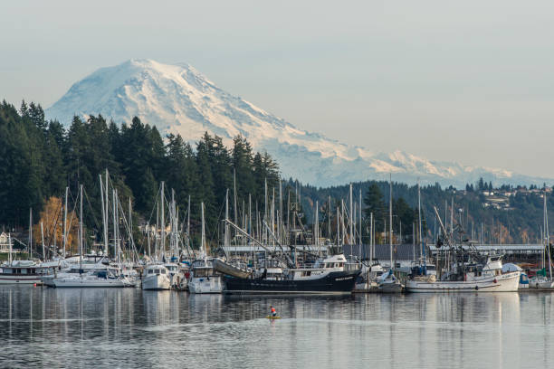 gig harbor - kitsap imagens e fotografias de stock