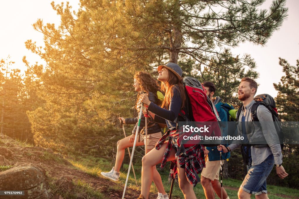 Sun and fresh mountain air Shot of a group of friends hiking in the mountains Activity Stock Photo