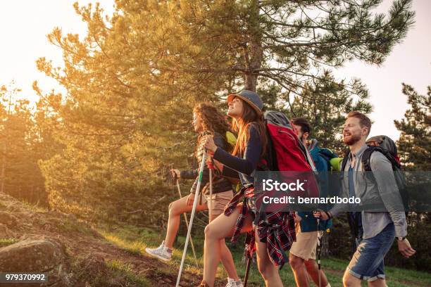 Sun And Fresh Mountain Air Stock Photo - Download Image Now - Activity, Adult, Adventure