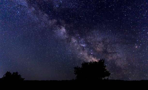 istock Silhouette of a tree on a background of a milk way 979371662