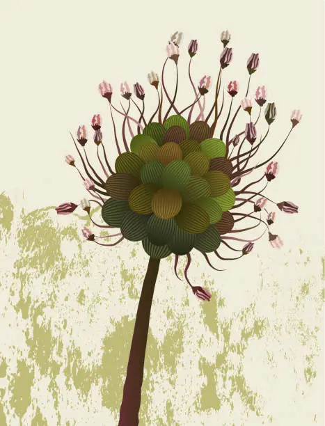 Vector illustration of wild garlic flower