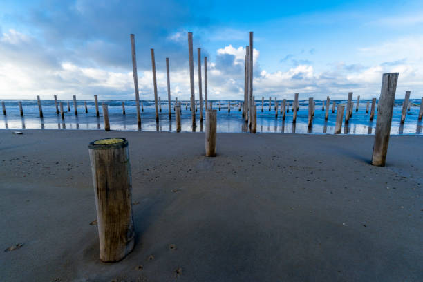 istock Wooden Poles on a Beach 979394686
