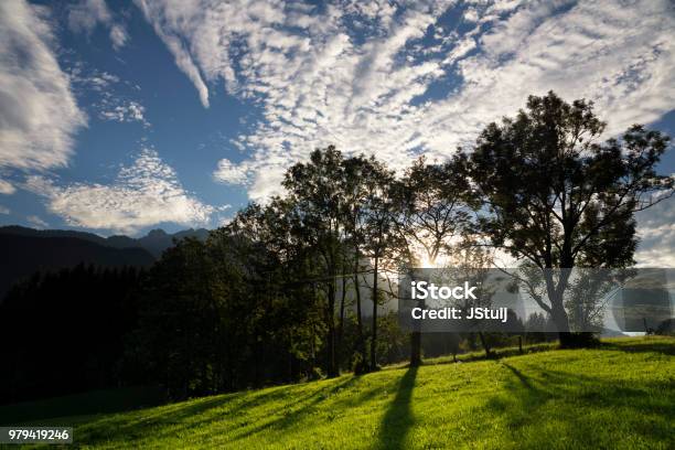 Trees Near Annaberg In Lammertal Stock Photo - Download Image Now - Austria, Blue, European Alps