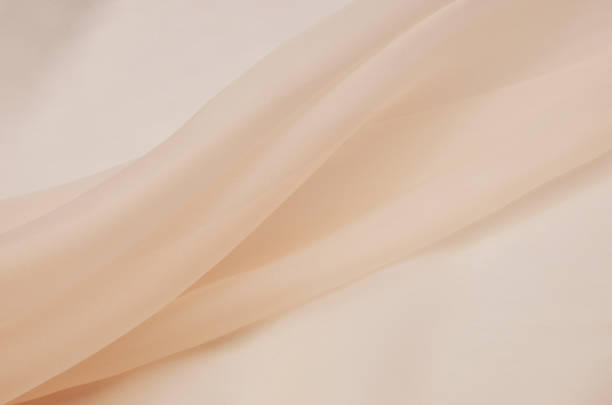 istock Silk fabric, organza is light beige. 979433958