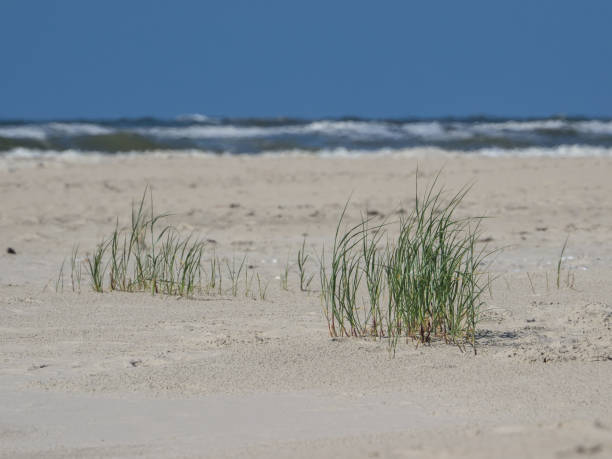 istock the german island juist 979434294