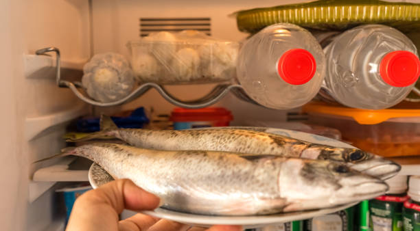 peixe cru na geladeira - dh - fotografias e filmes do acervo