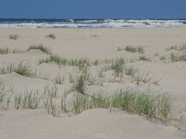 istock the german island juist 979452920