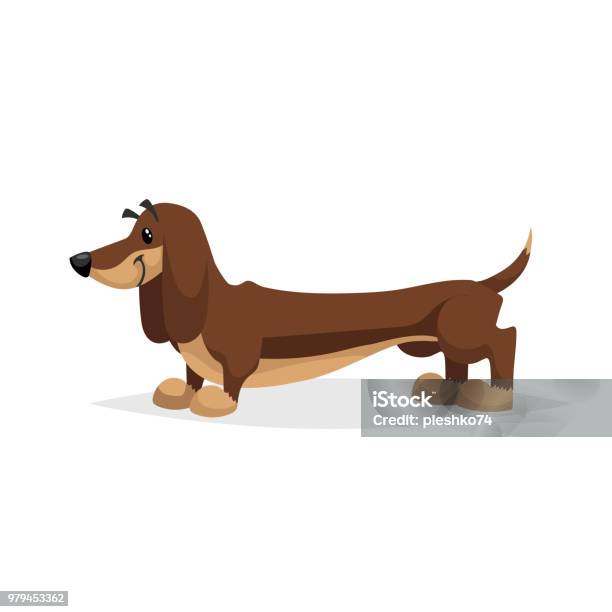 Cartoon Dachshund Dog Standing Simple Gradient Purebred Vector Illustration Comic Dog Character Pet Animal Isolated On White Background Stock Illustration - Download Image Now