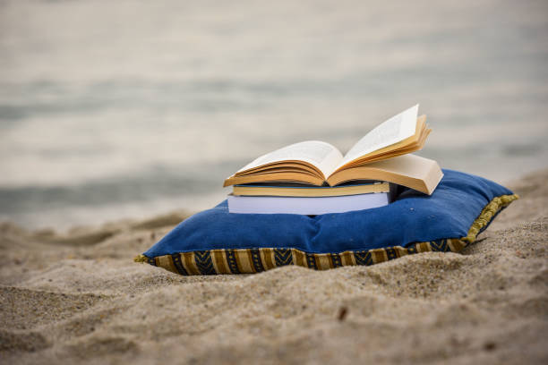 istock Open book at beach during summer by the sea. Reading summer book 979453370