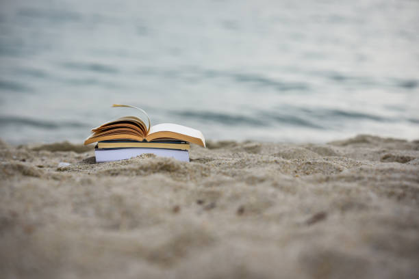 istock Open book at beach during summer by the sea. Reading summer book 979453910