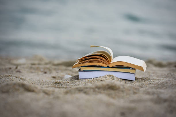istock Open book at beach during summer by the sea. Reading summer book 979453988