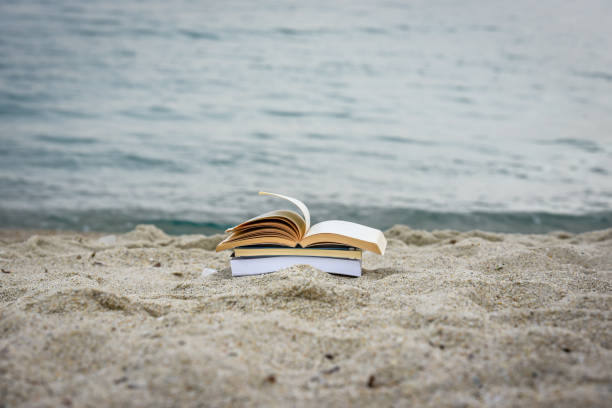 istock Open book at beach during summer by the sea. Reading summer book 979454070
