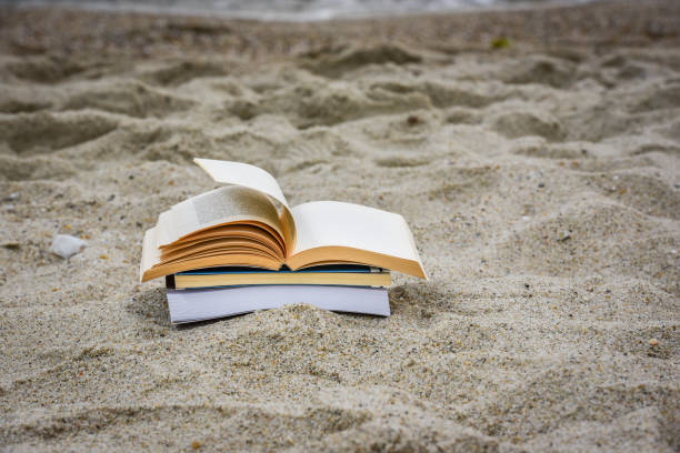 istock Open book at beach during summer by the sea. Reading summer book 979454188